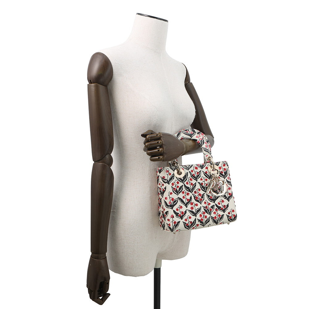 Dior Luxury Leather Handbag Style 12