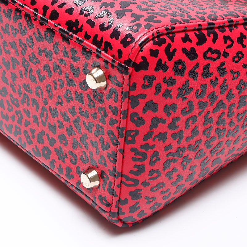Dior Handbag Leopard Print 2-Way