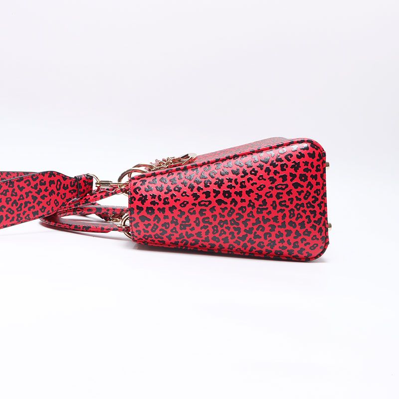 Dior Handbag Leopard Print 2-Way