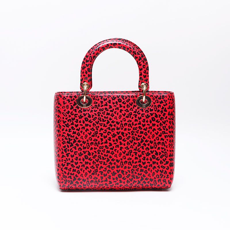 Dior Handbag Leopard Print 2-Way
