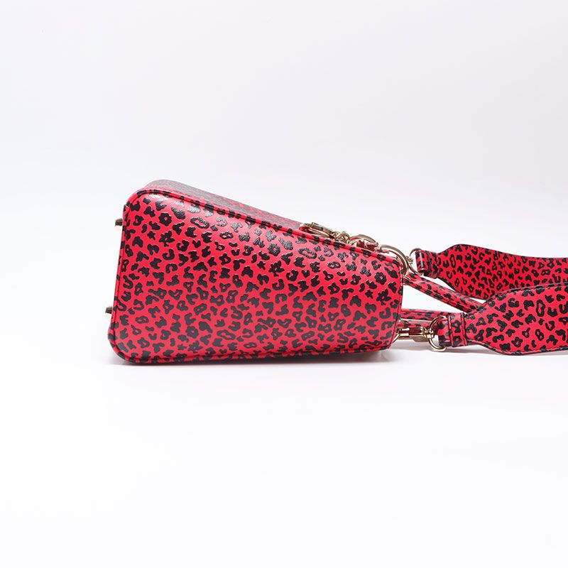 Dior Handbag Leopard Print 2-Way