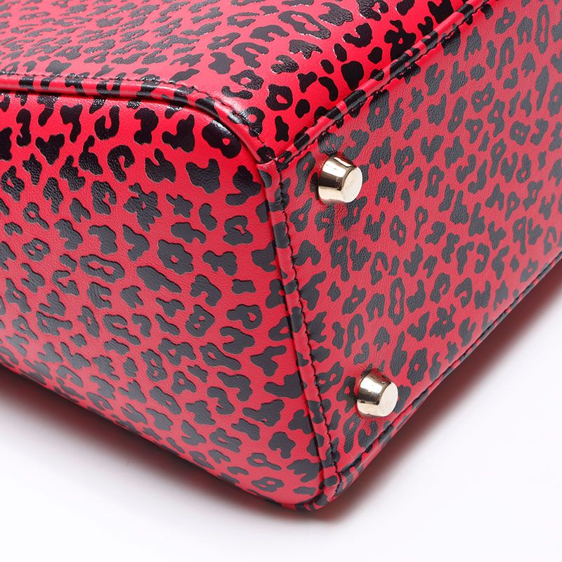 Dior Handbag Leopard Print 2-Way