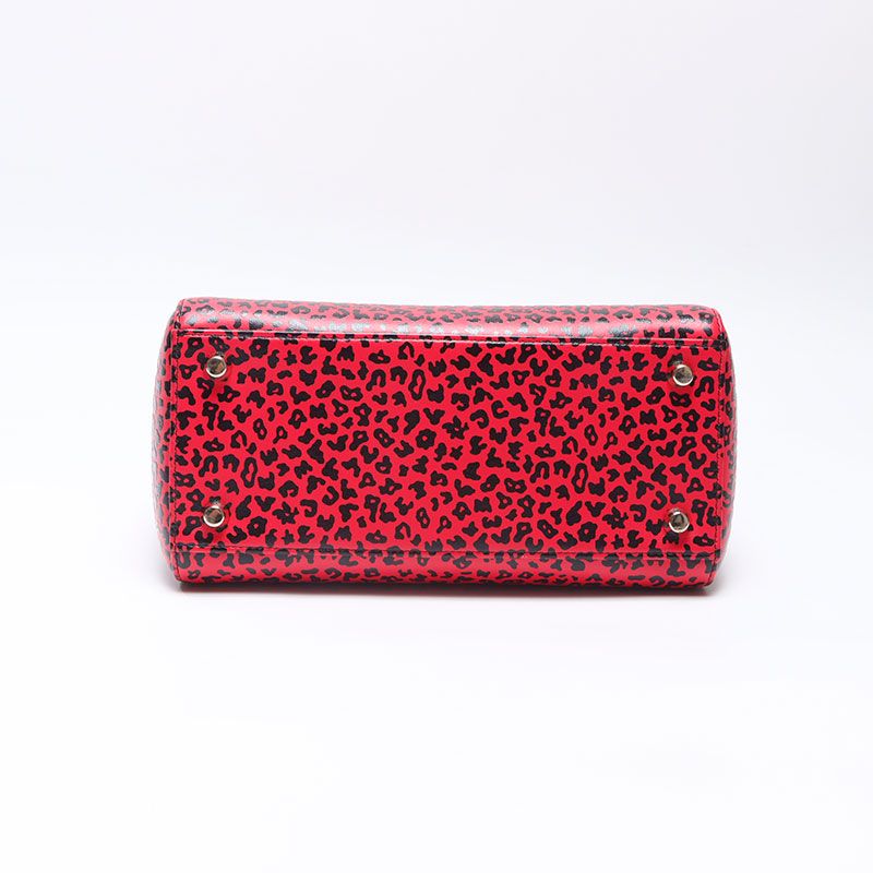 Dior Handbag Leopard Print 2-Way