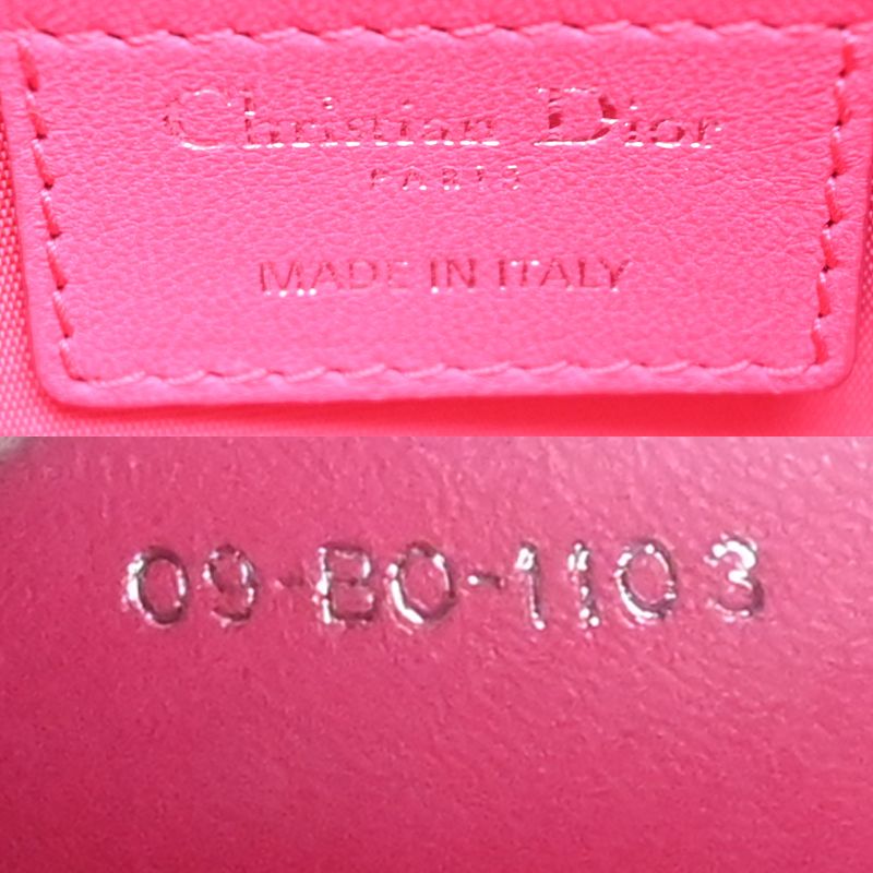 Dior Handbag Pink