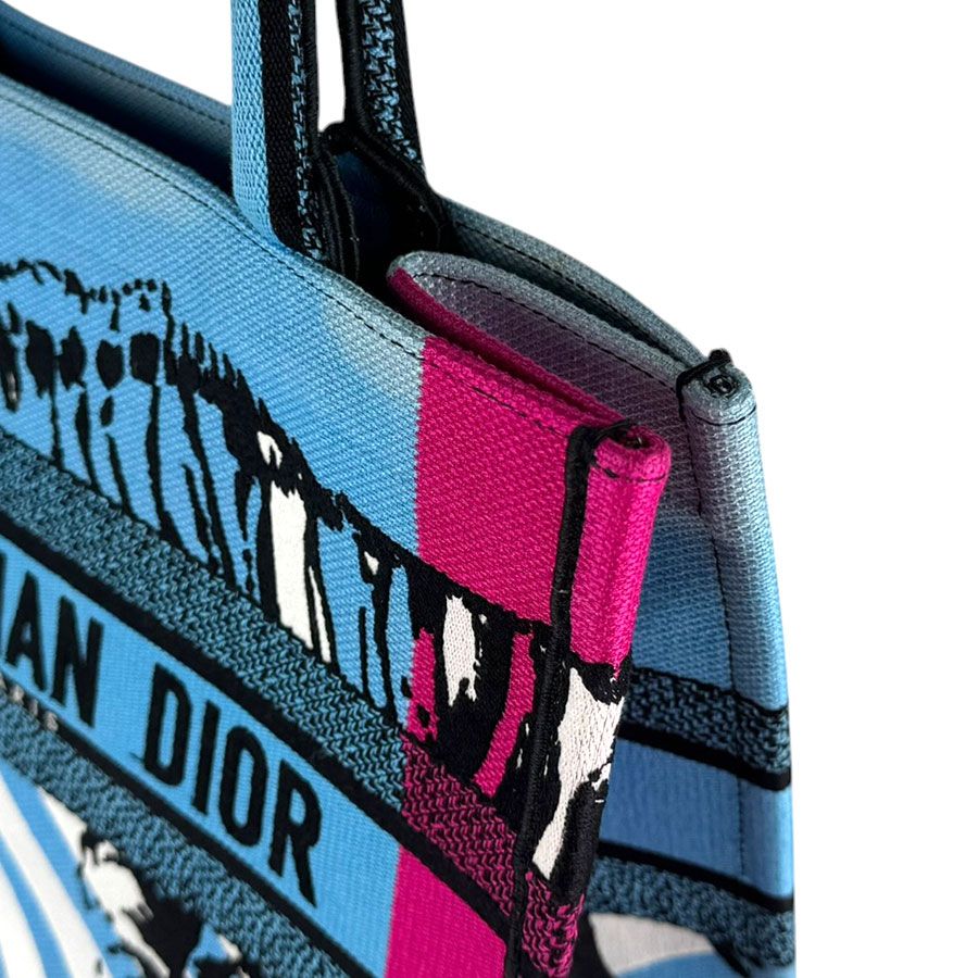 Dior Handbag Book Tote