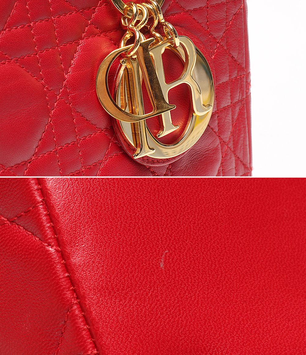 Dior Handbag Lady