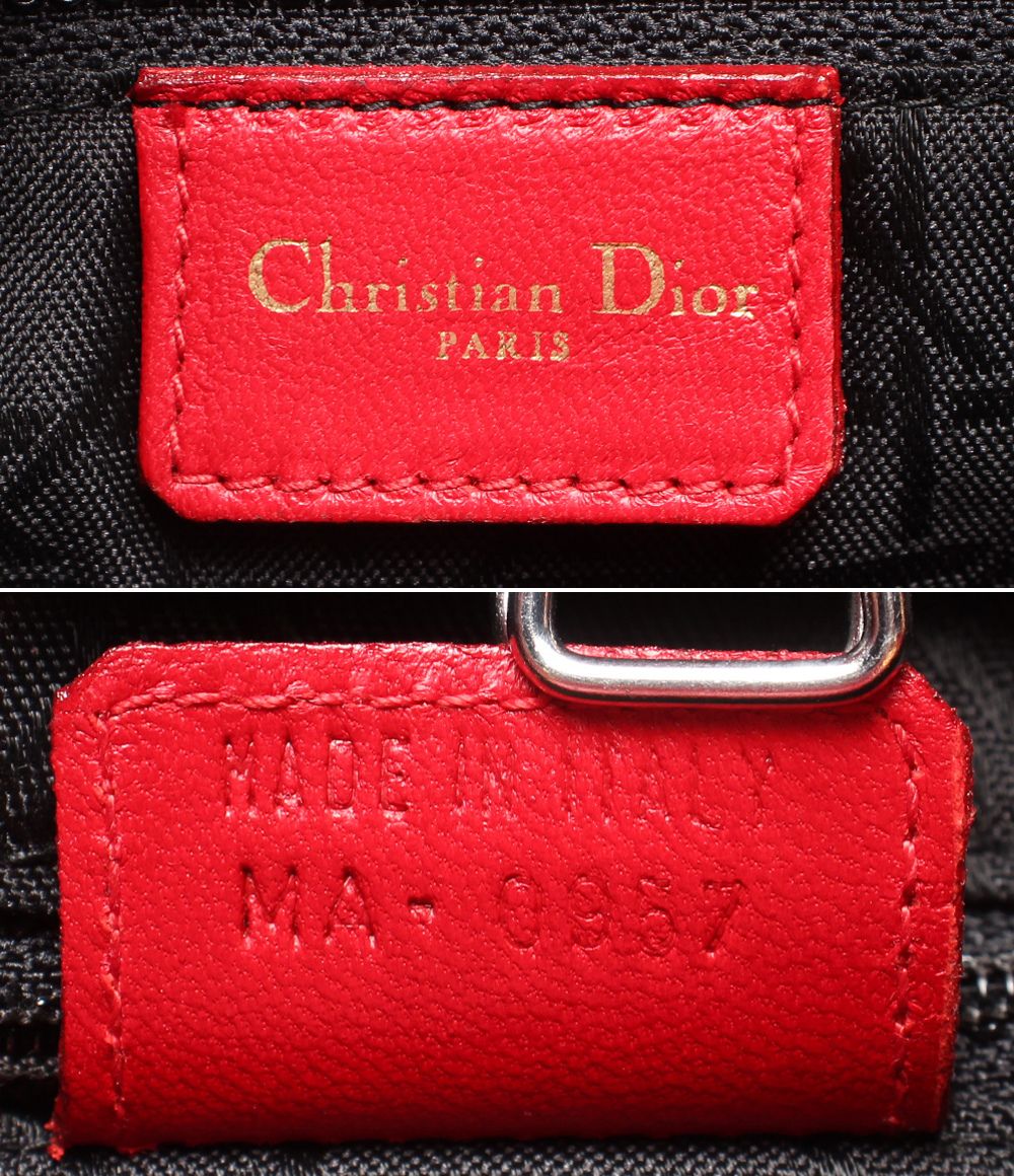Dior Handbag Lady