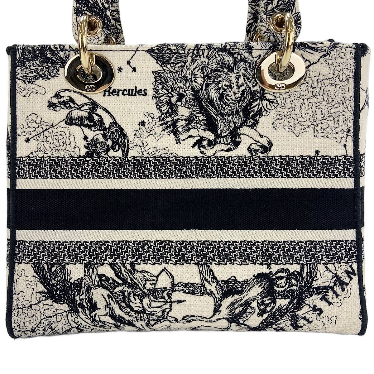 Dior Handbag Lady Embroidery 2-Way