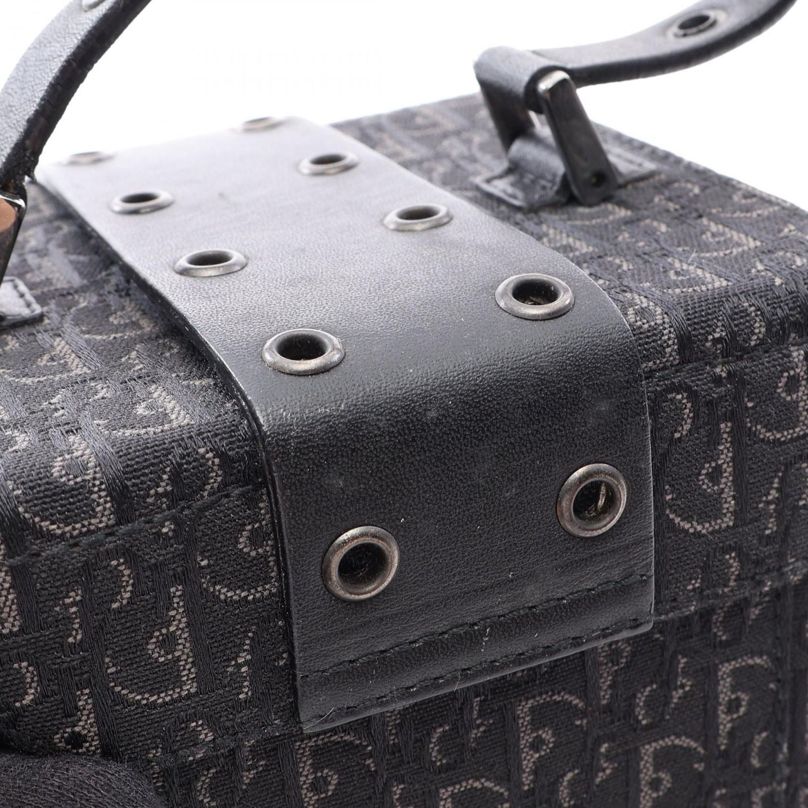 Dior Handbag Street Chic Trotter Black Canvas Leather Vanity