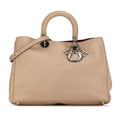 Dior Leather Handbag