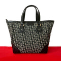 Dior Handbag canvas black