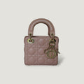 Dior Lady Dior Leather Handbag Handbag