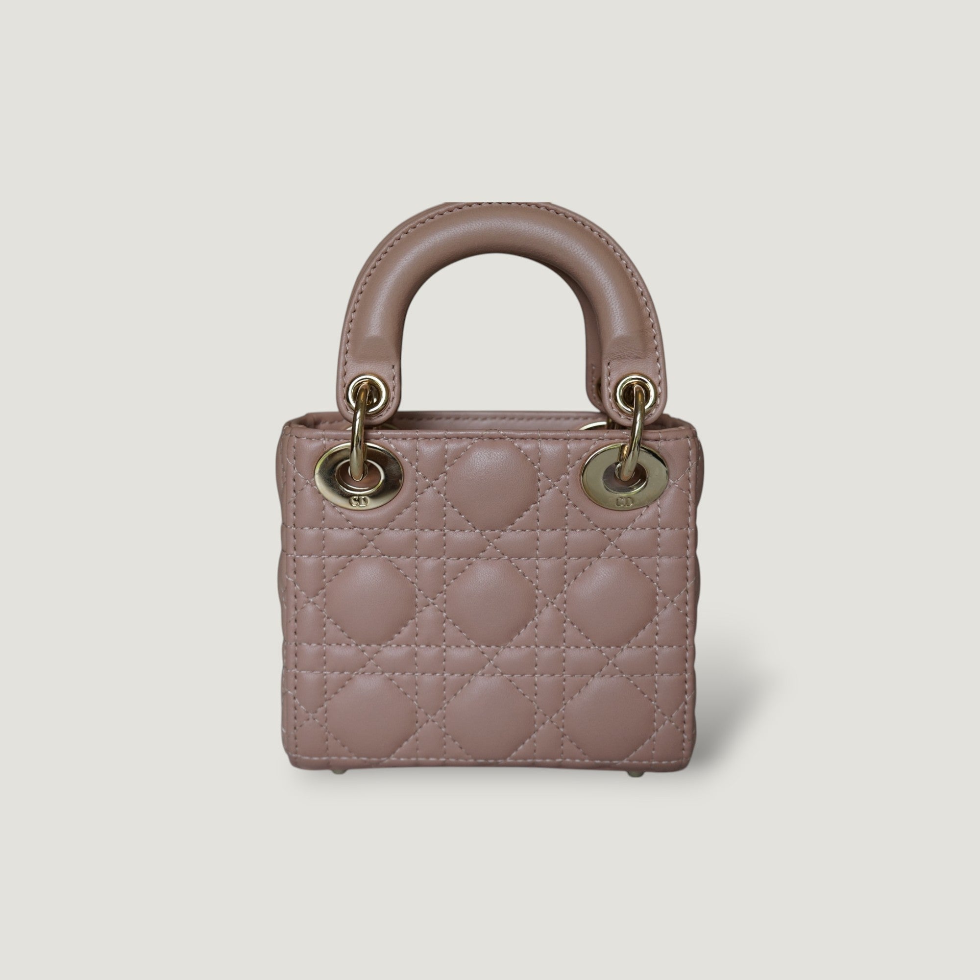 Dior Lady Dior Leather Handbag Handbag