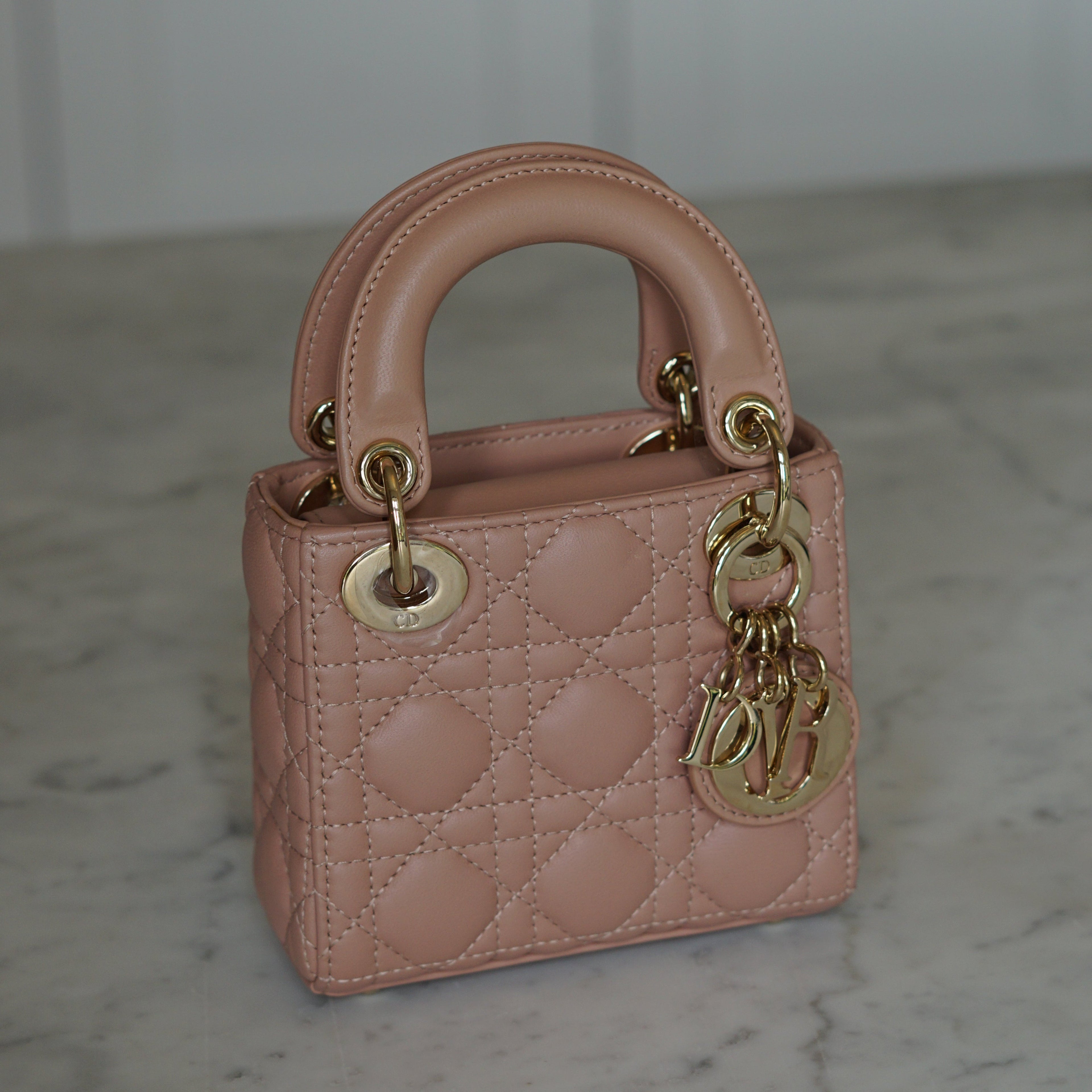 Dior Lady Dior Leather Handbag Handbag