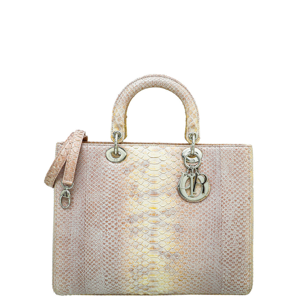 Dior Lady Dior Leather Handbag Style 4