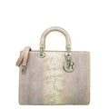 Dior Lady Dior Leather Handbag Style 4
