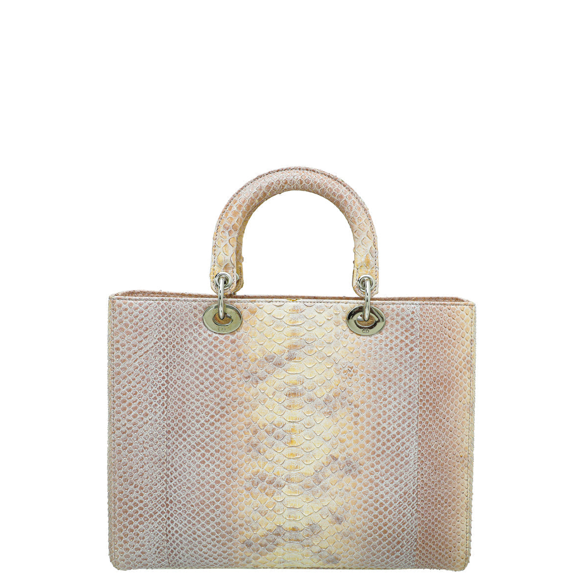 Dior Lady Dior Leather Handbag Style 4