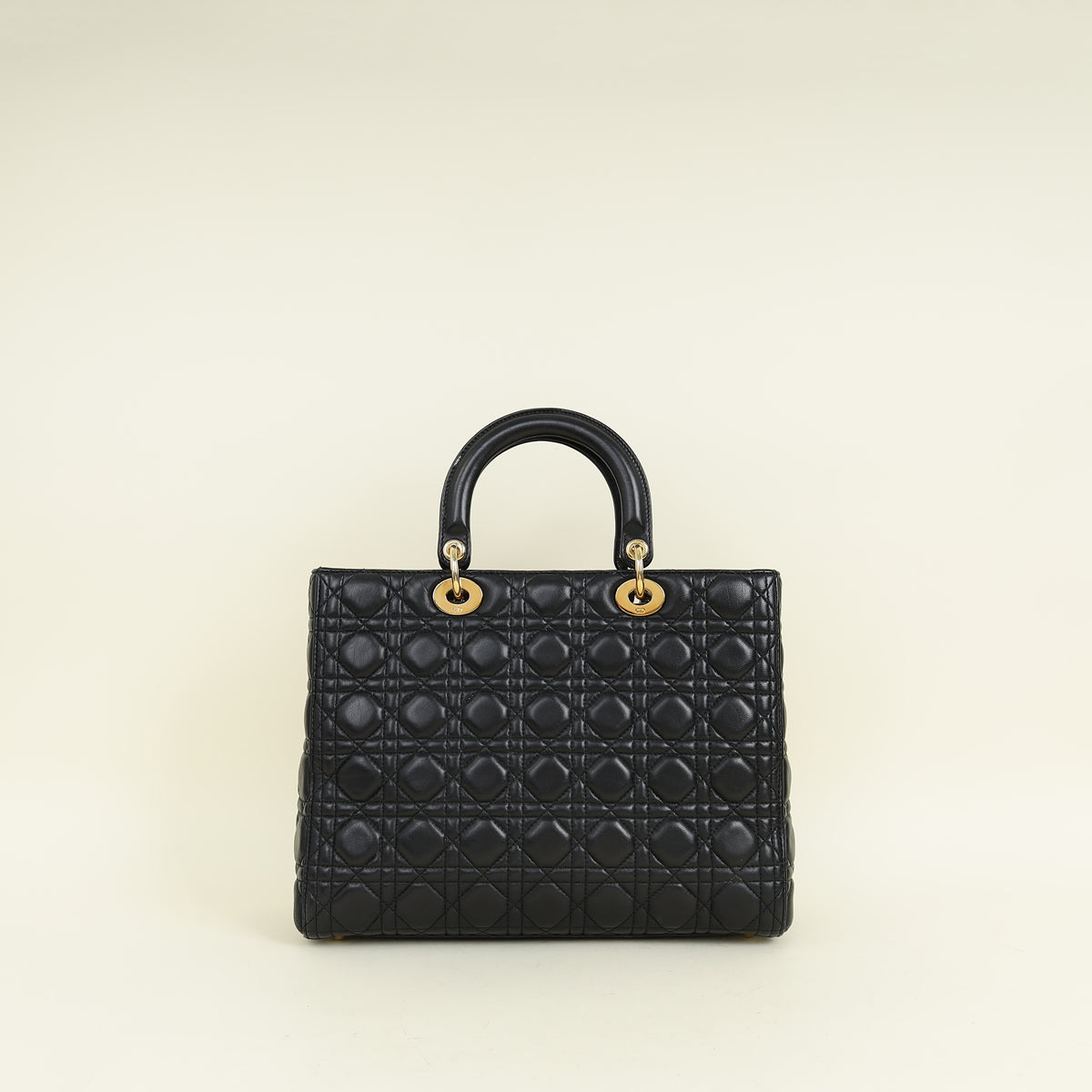 Dior Lady Dior Leather Handbag Style 94