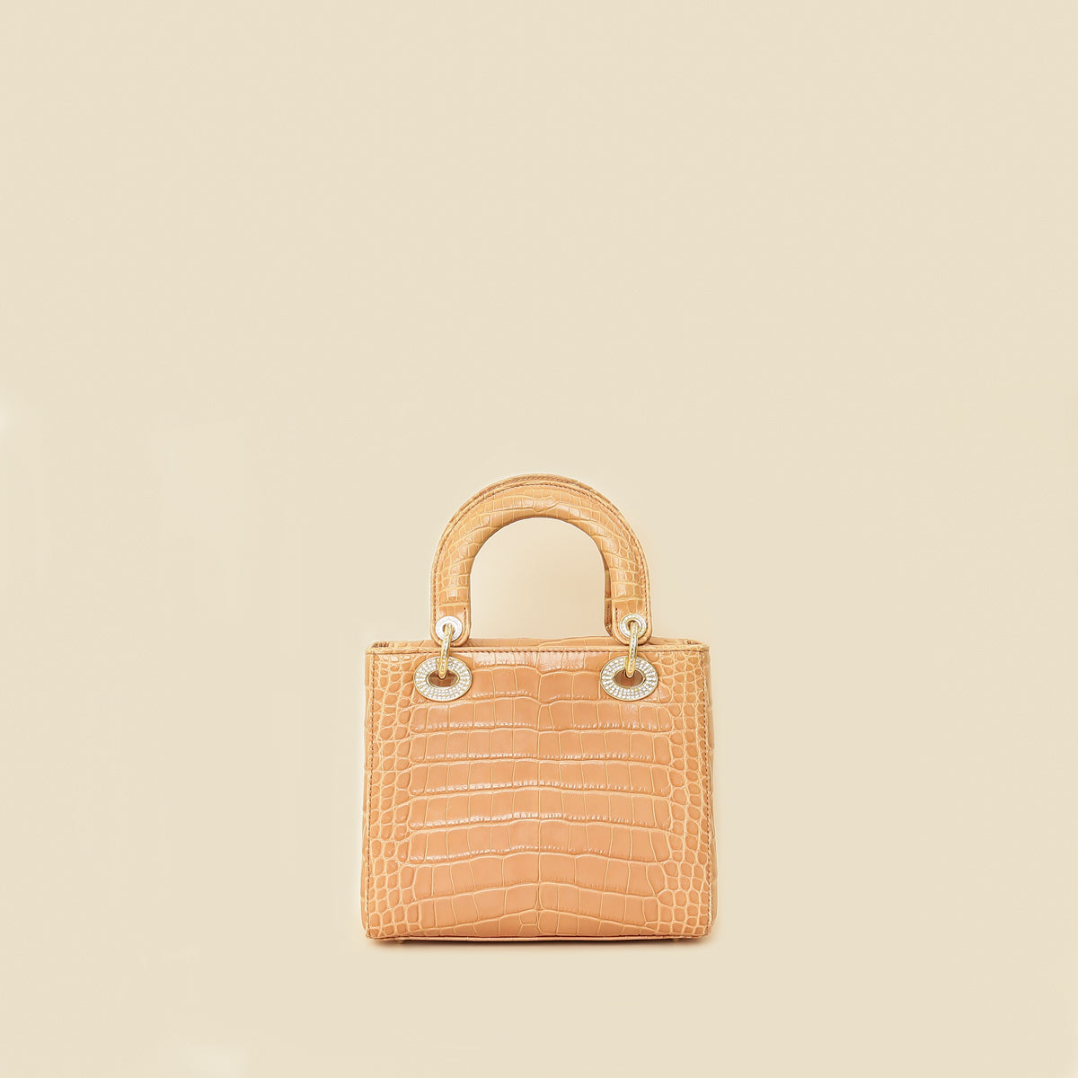 Dior Lady Dior Leather Handbag Style 100