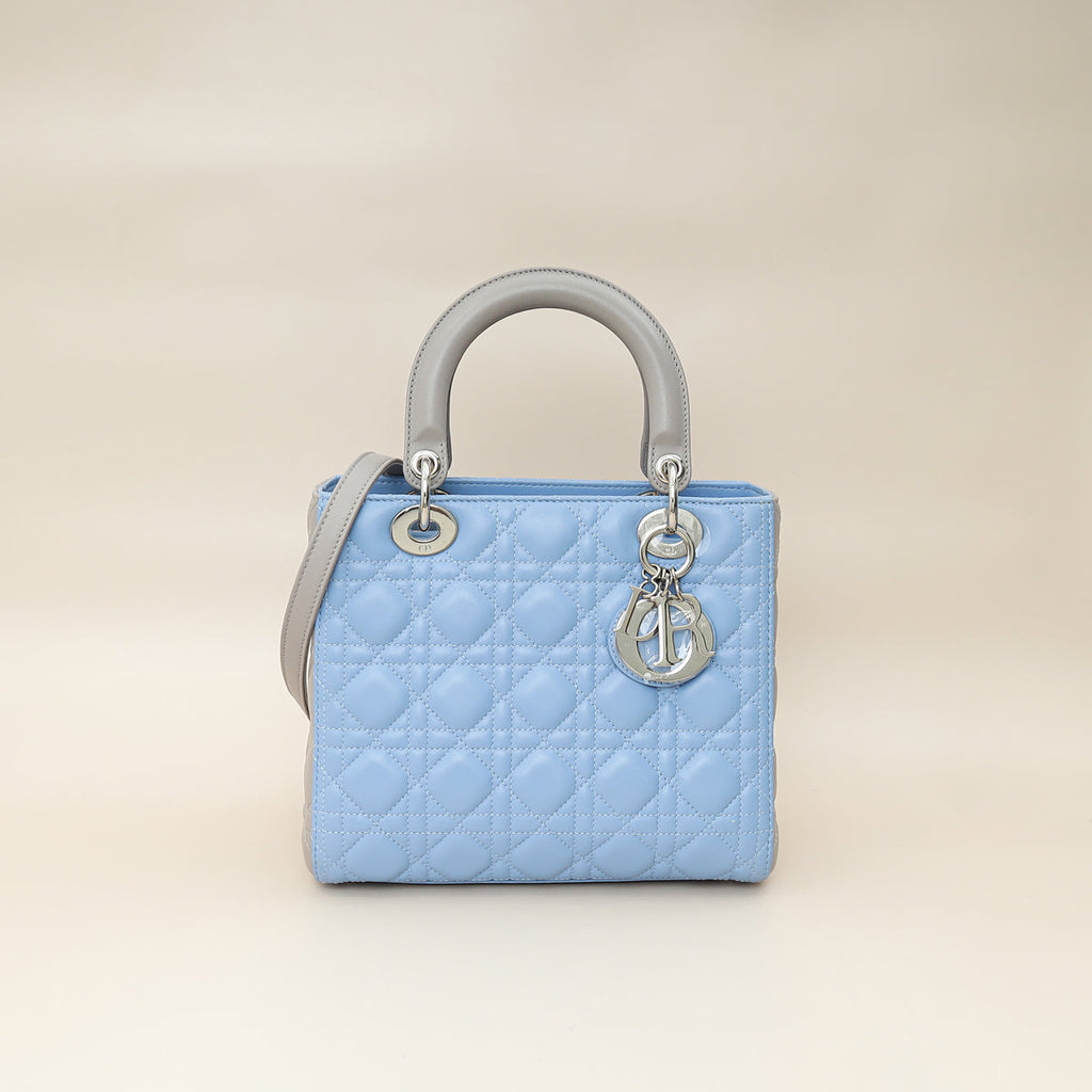 Dior Lady Dior Leather Handbag Style 72