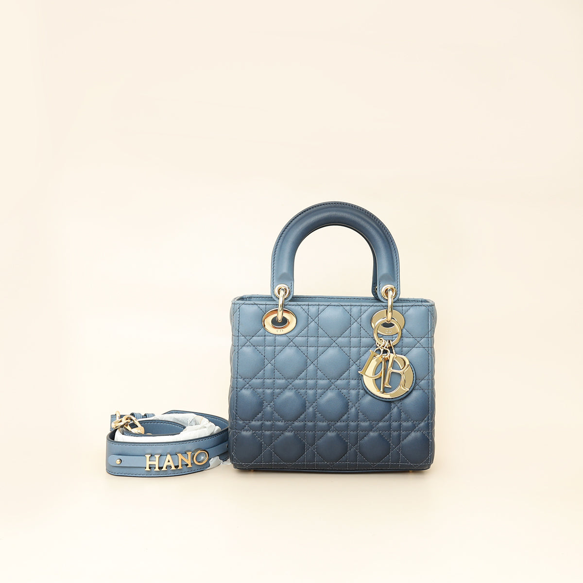 Dior Lady Dior Leather Handbag Style 76