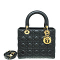 Dior Lady Dior Leather Handbag Style 24