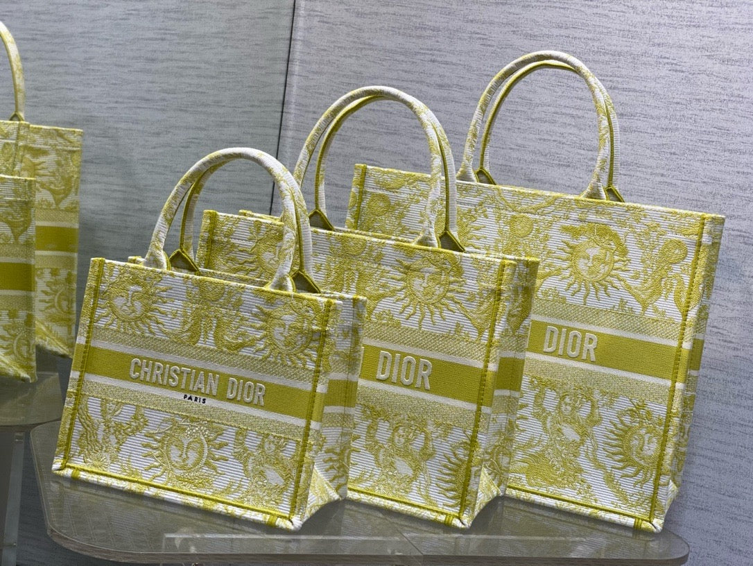 Dior Book Tote Tote Bag