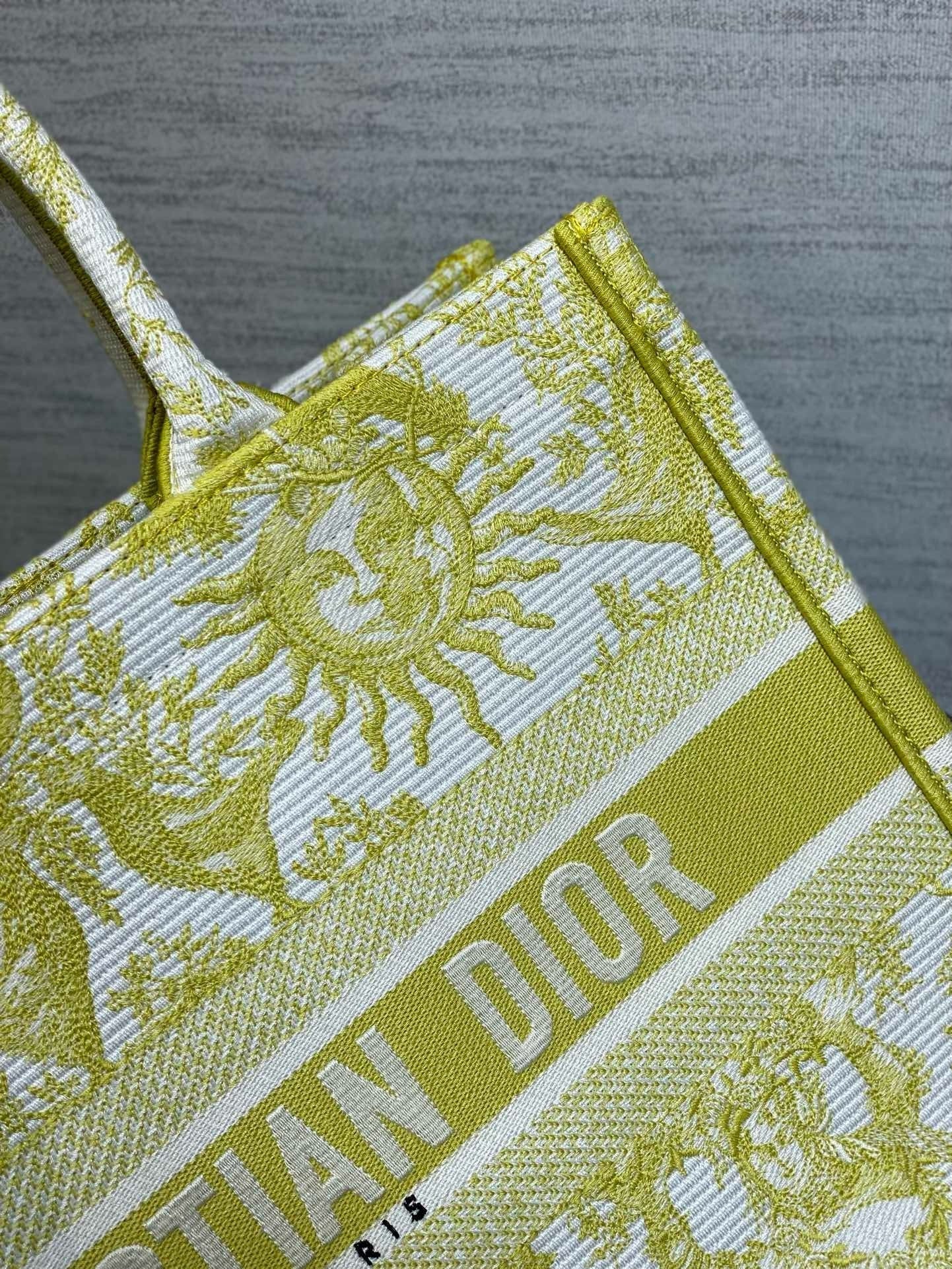 Dior Book Tote Tote Bag
