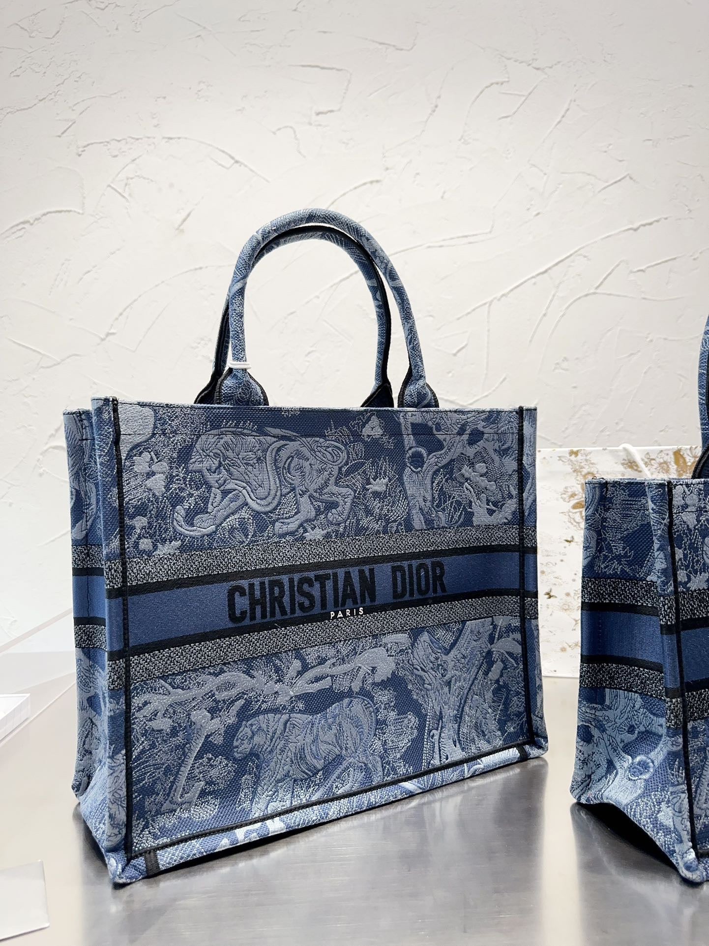 Dior Book Tote Tote Bag