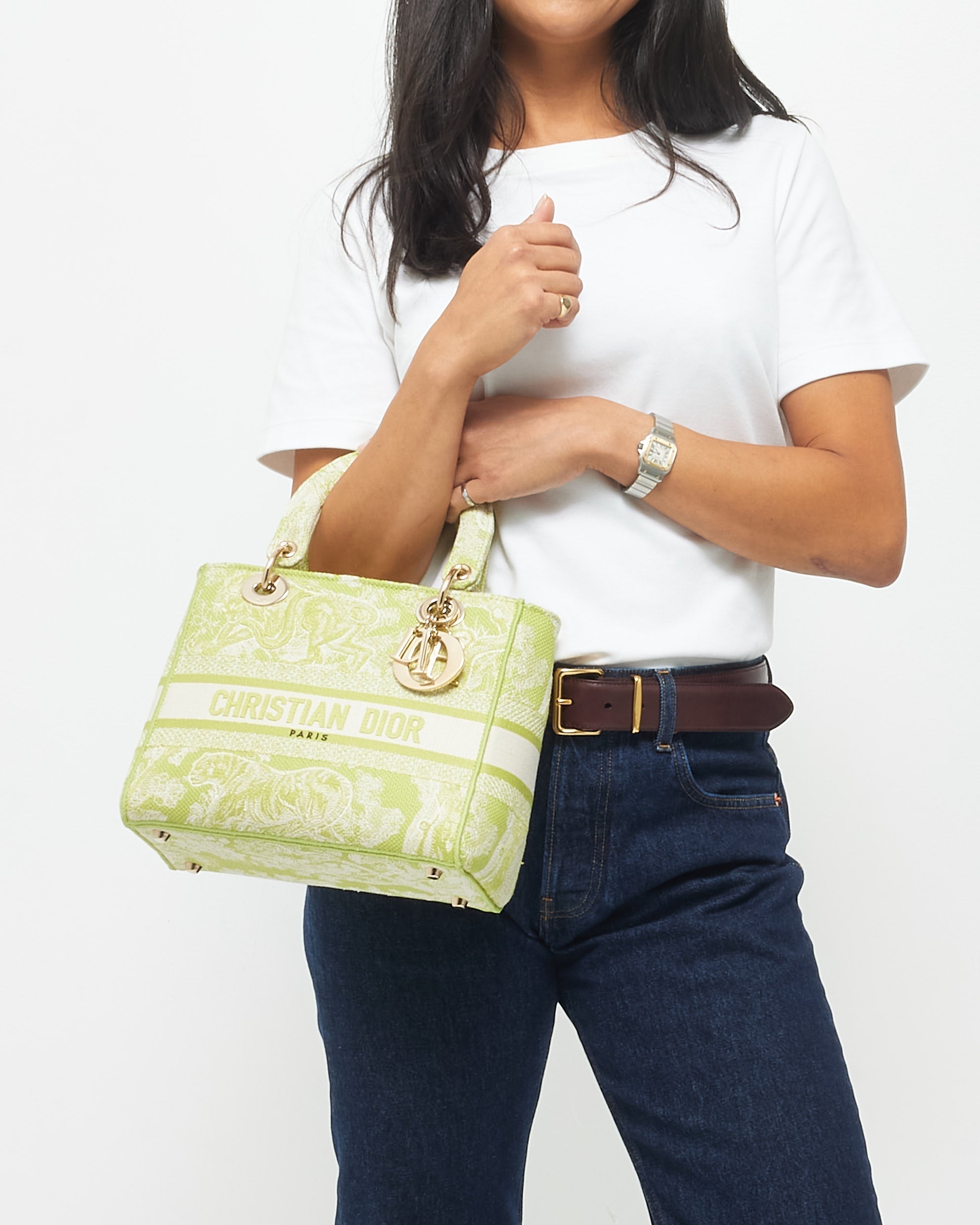 Dior Canvas Handbag