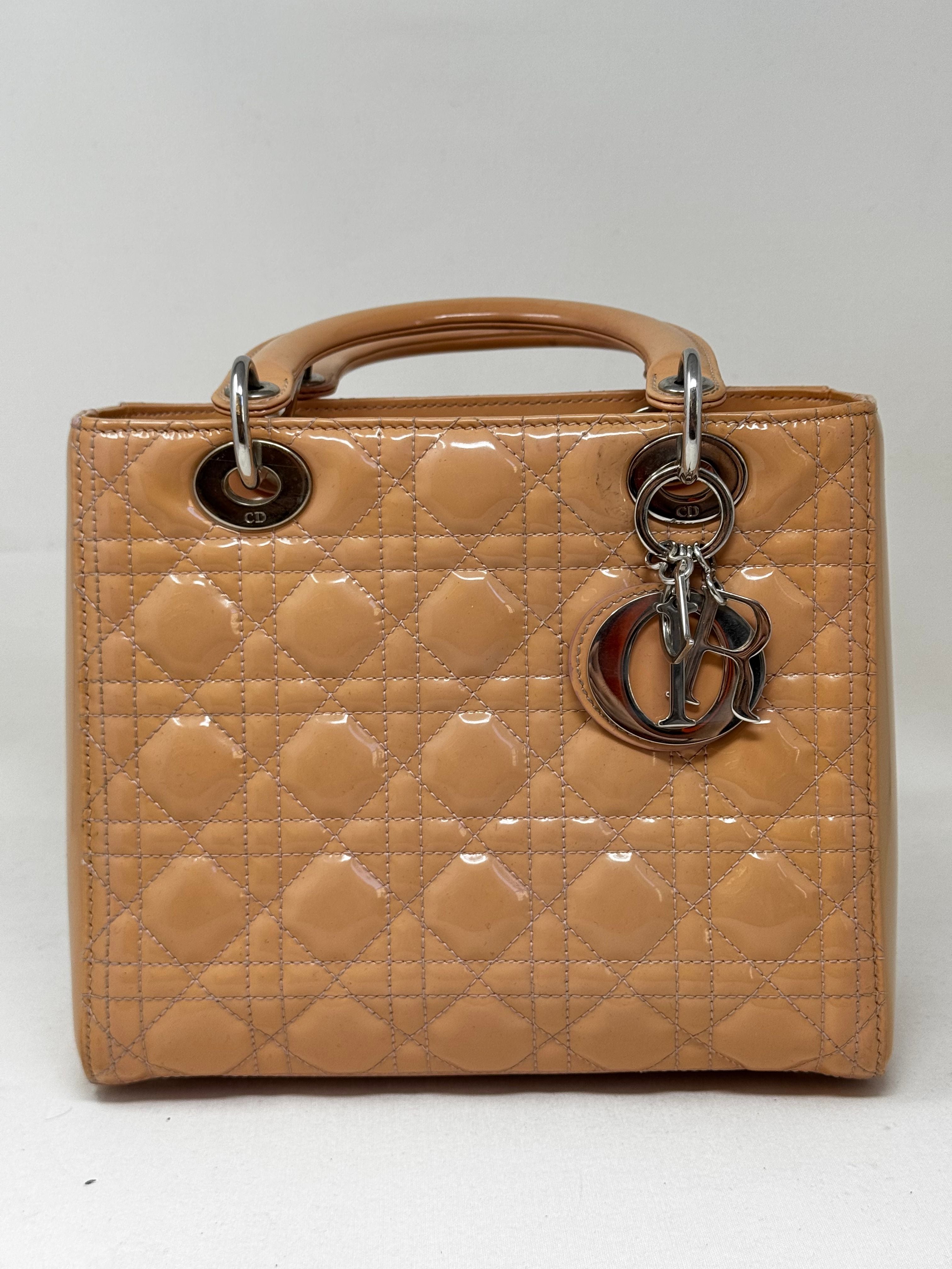 Dior Luxury Leather Handbag Style 21